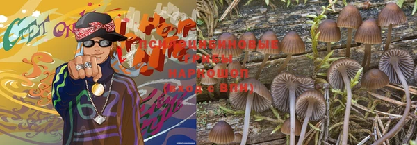 прущая мука Магадан