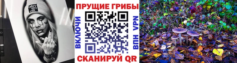 Галлюциногенные грибы Psilocybe  Рыбинск 